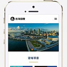 (自适应手机版)HTML5企业管理咨询机构网站源码 响应式咨询管理类网站pbootcms模板